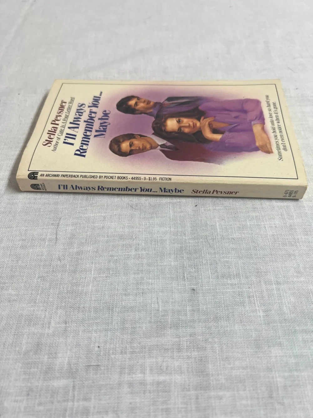 N/A paperback novel